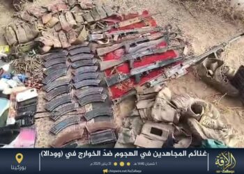 Al-Qaeda Kills 9 ISIS Militants in Burkina Faso and Confiscates Their Weapons