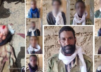 Senior ISIS Commander Eliminated, Another Surrenders to Malian Armed Forces
