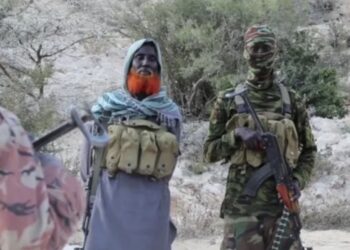 ISIS Governor in Somalia Flees the Battlefield