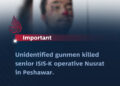 Unidentified Gunmen Killed Senior ISIS-K Operative Nusrat in Peshawar