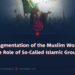 The Fragmentation of the Muslim World and the Role of So-Called Islamic Groups