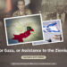 Security for Gaza, or Assistance to the Zionist Regime?