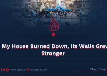 If My House Burned Down, Its Walls Grew Stronger