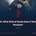 ISIS: What Kind of Sharia Does It Really Proclaim?