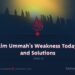The Muslim Ummah’s Weakness Today: Causes and Solutions