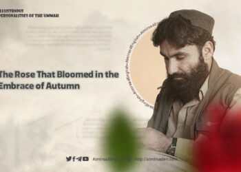 The Rose That Bloomed in the Embrace of Autumn