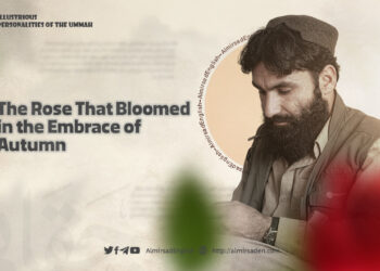The Rose That Bloomed in the Embrace of Autumn
