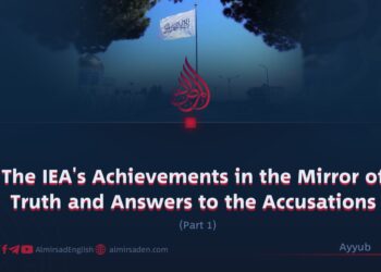 The IEA’s Achievements in the Mirror of Truth and Answers to the Accusations