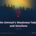 The Muslim Ummah’s Weakness Today: Causes and Solutions